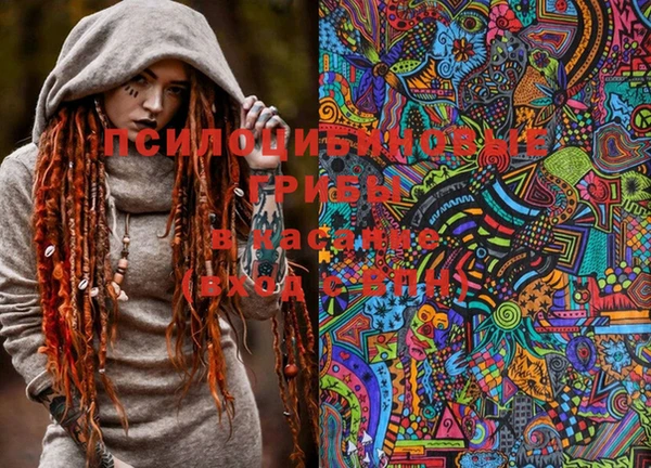 первитин Туринск